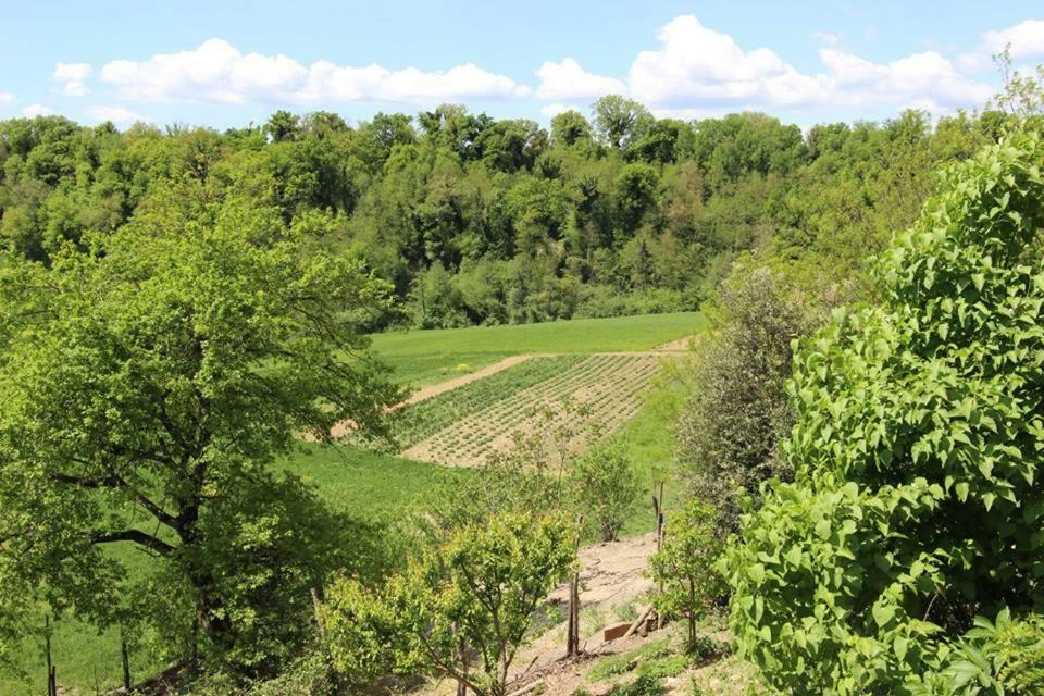 Agriturismo Stazione Di Monta Villa Vicchio Exterior foto